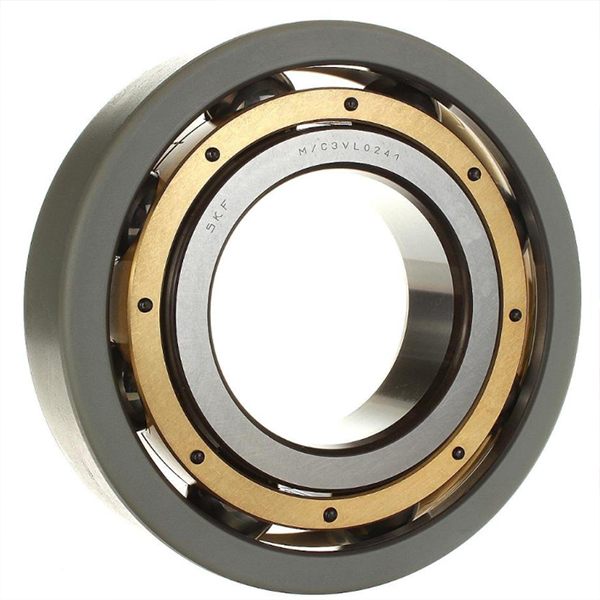 INSOCOAT deep groove ball bearings